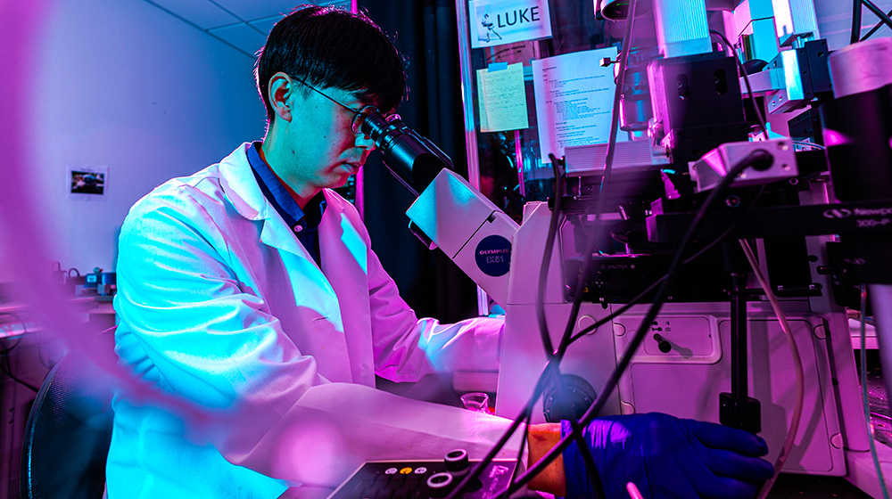 Loyola University Chicago students work on research projects in Prof. Andrew Kirk's Cell and Molecular Physiology lab at the Health Sciences 